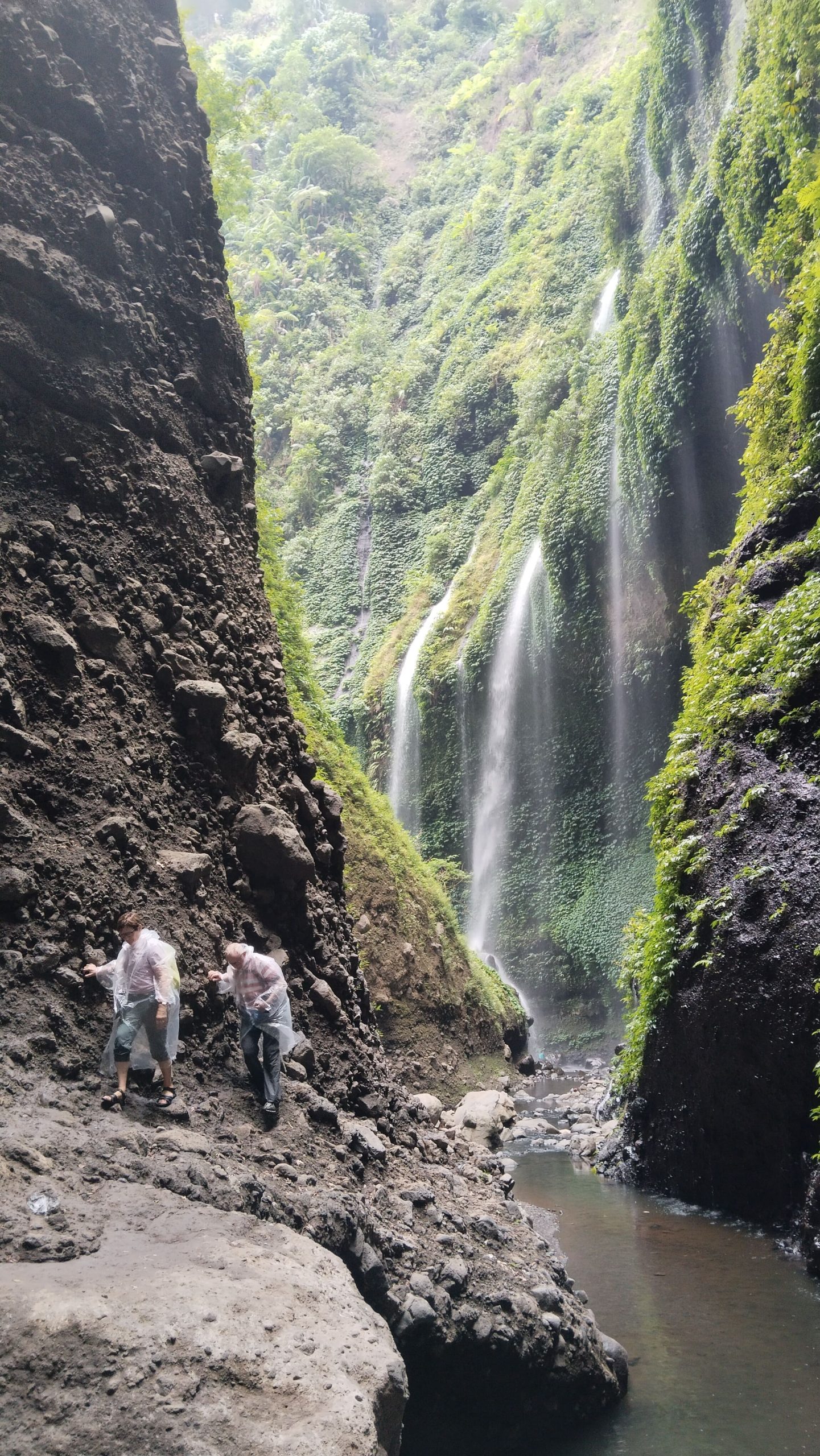 Exploring the Natural Beauty of Madakaripura Waterfall